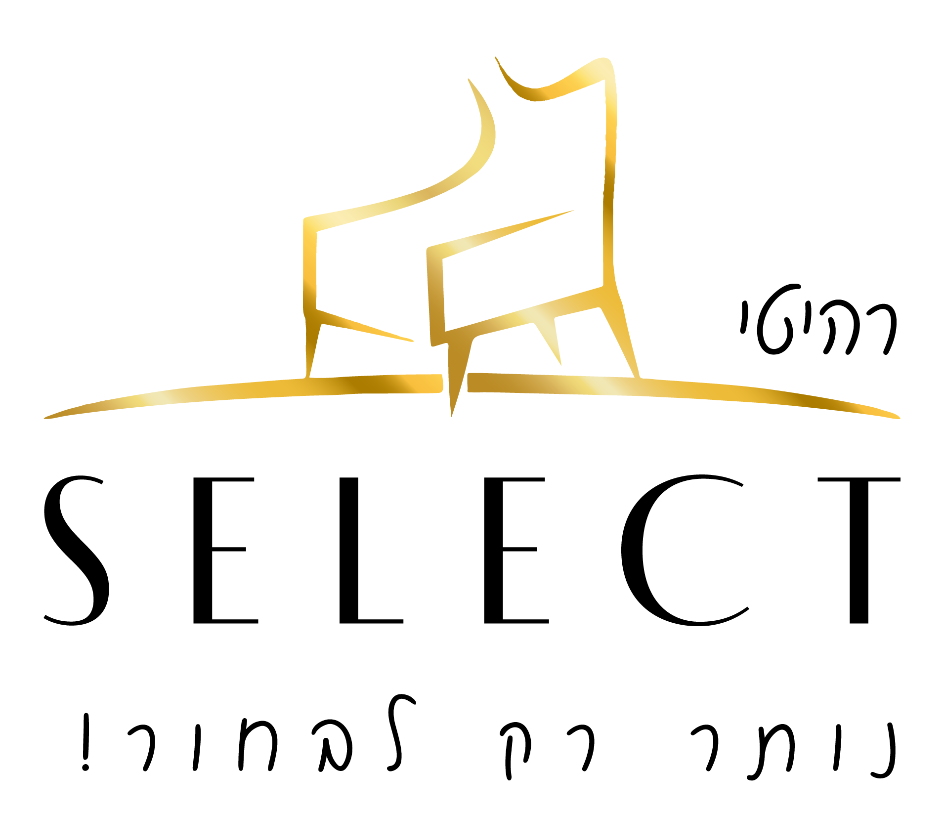 לוגו רהיטי SELECT