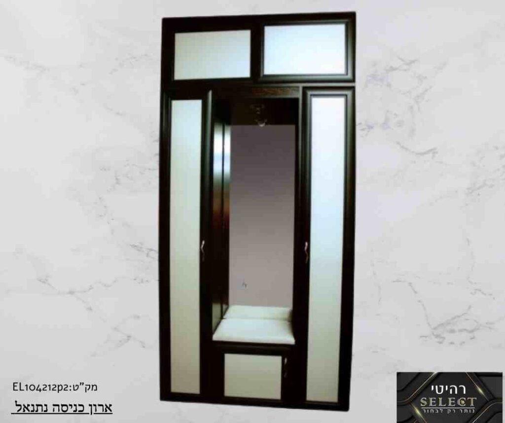 ארון כניסה נתנאל