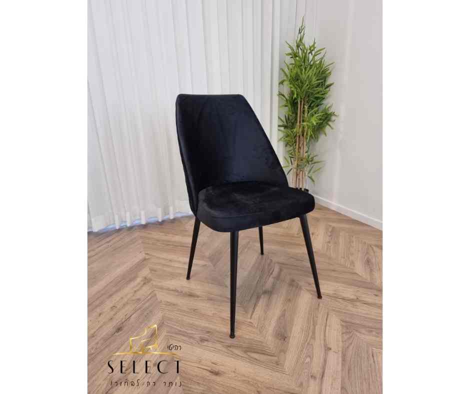 כסא אוכל מעוצב פארמה כסאות מעוצבים מבית רהיטי SELECT